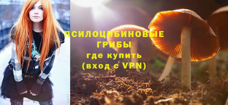 Псилоцибиновые грибы MAGIC MUSHROOMS  продажа наркотиков  площадка клад  Медынь 